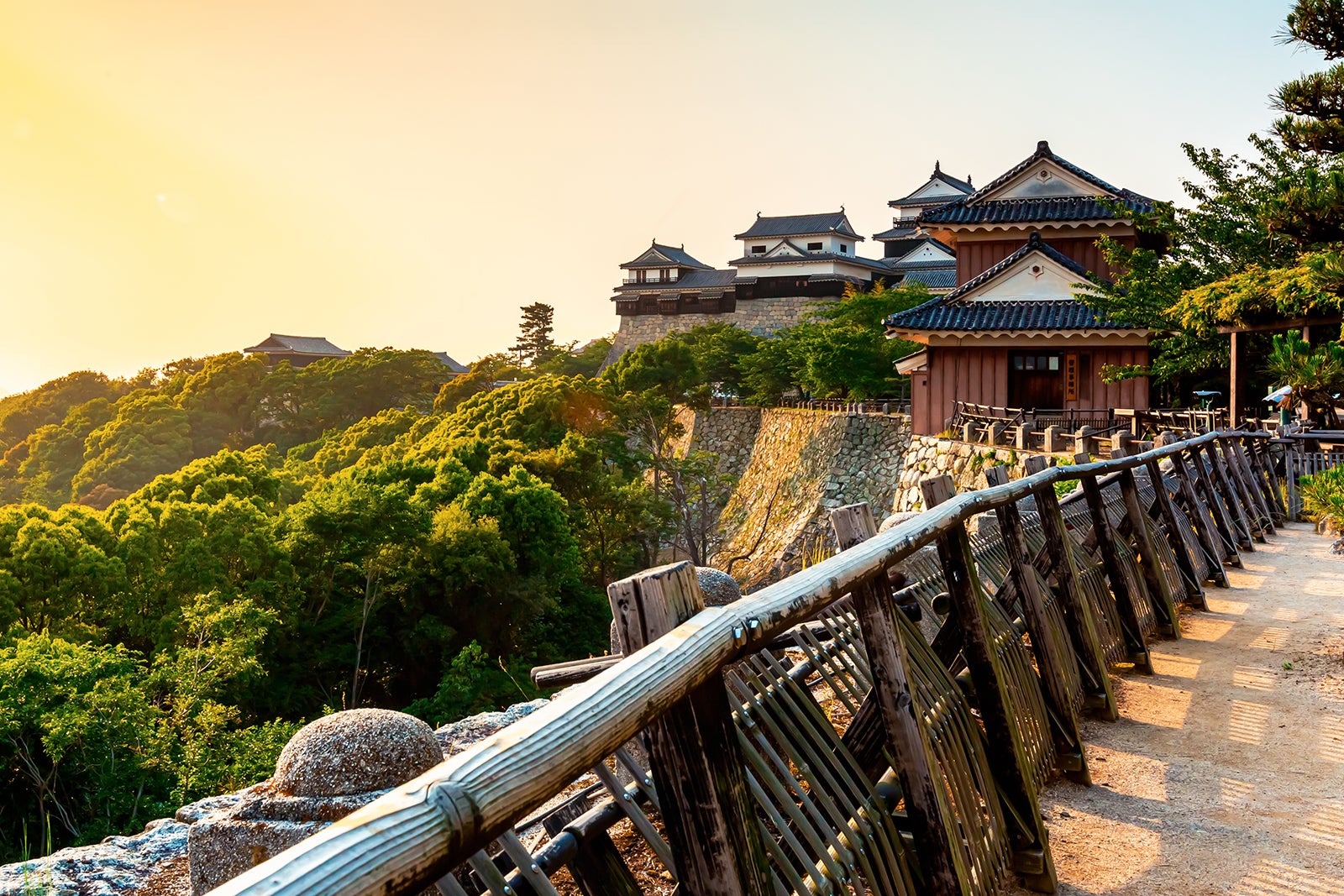 1b6e6e9e-87a9-4edb-a441-5ef523c88796.jpg (1600×1067)