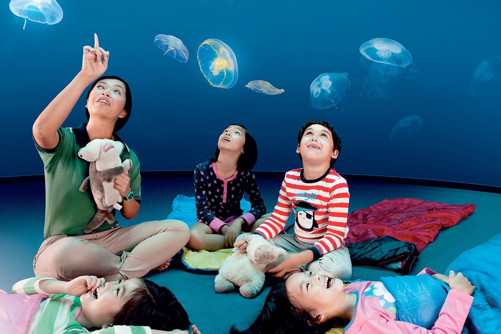 S E A Aquarium Singapore Family Attraction In Resorts World Sentosa Go Guides