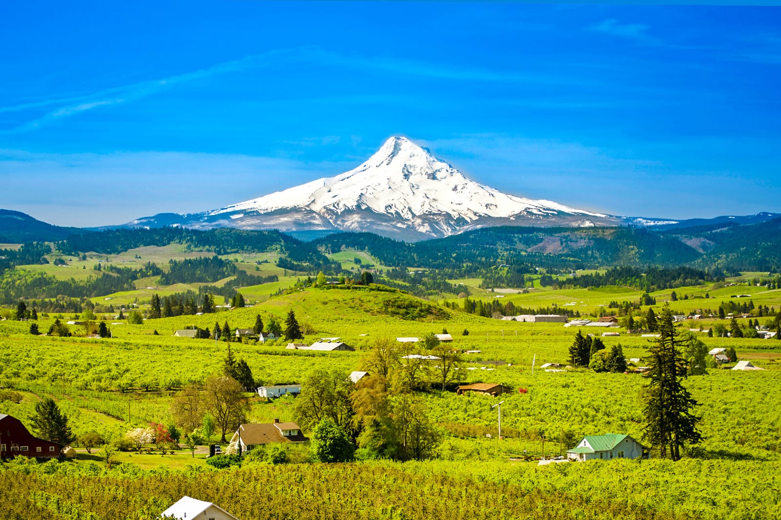 Oregon What you need to know before you go Go Guides Oregon What you need to know before you go Go Guides