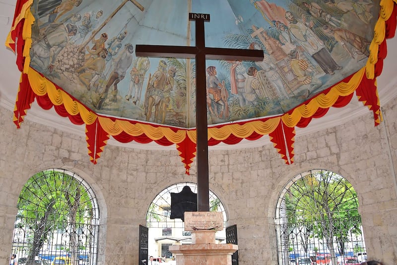 Mactan Island Nature