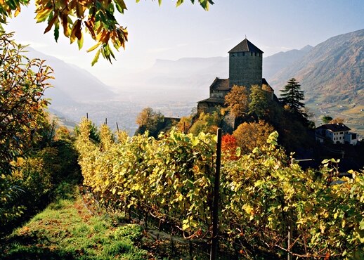 Trentino Alto Adige, Überetsch-Unterland - Oltradige-Bassa Atesina, Italia