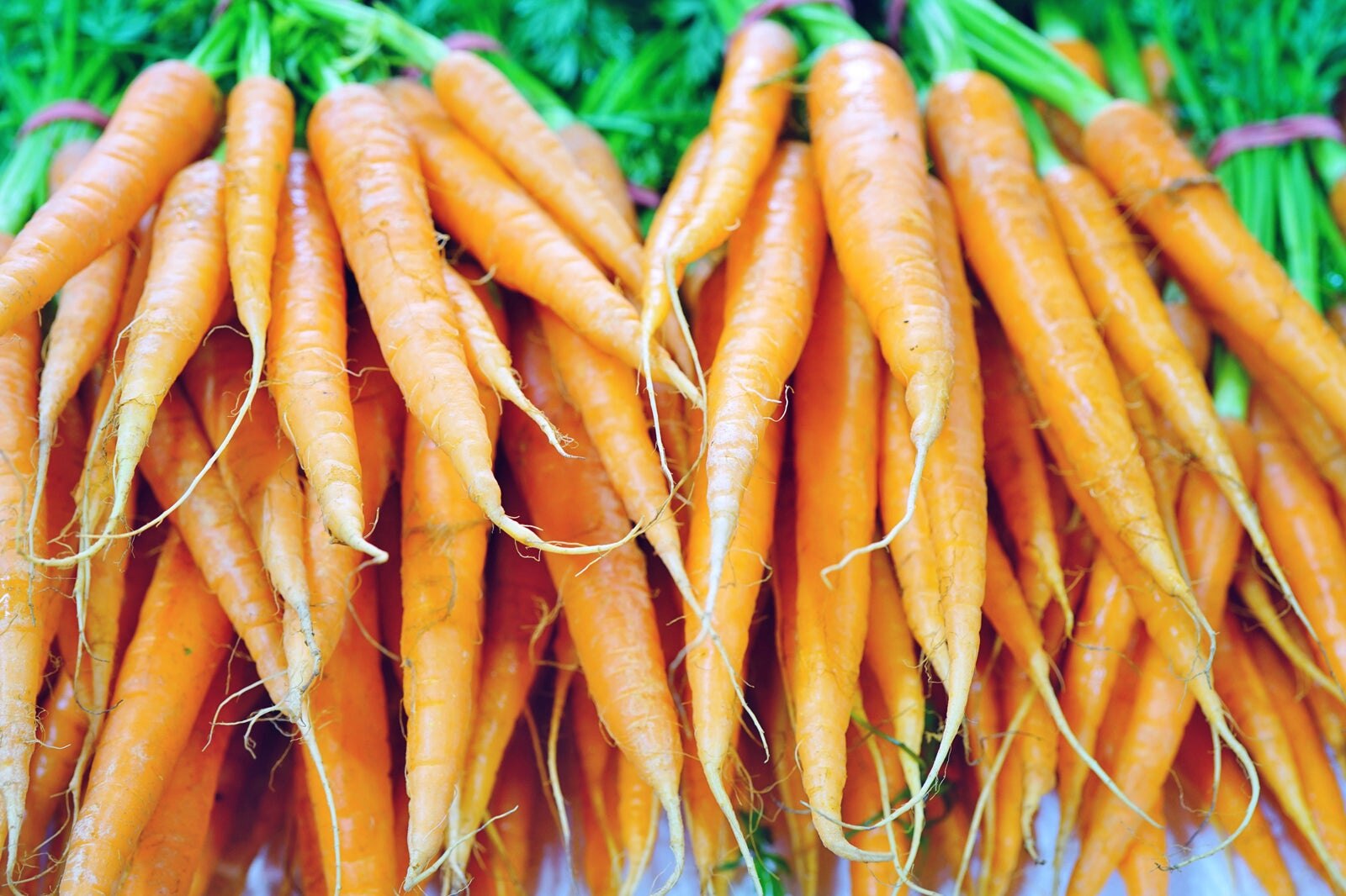 Crescent City Farmers Market - Buy Directly From Producers at This