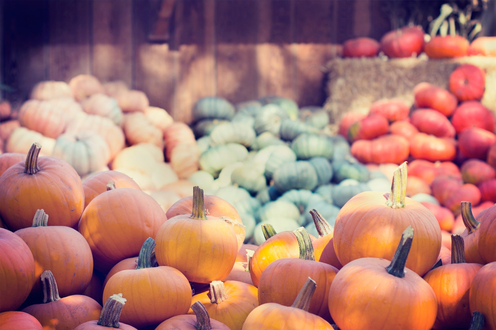 10 Best Things to Do in San Luis Obispo Climb Mountain Peaks or Walk