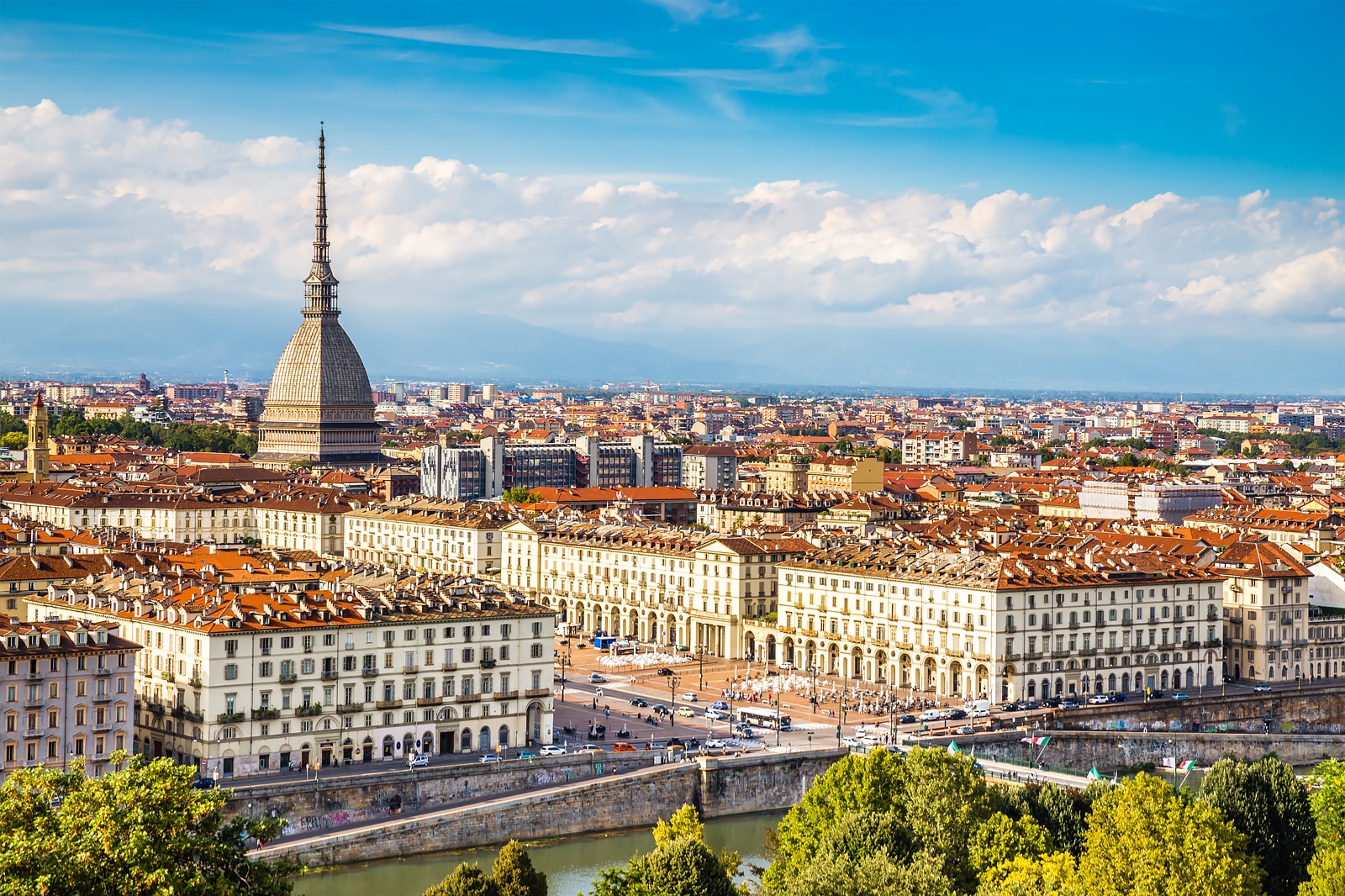 Spesa online a Torino: 10 posti per effettuare l'ordine da casa tua -  Torino Segreta