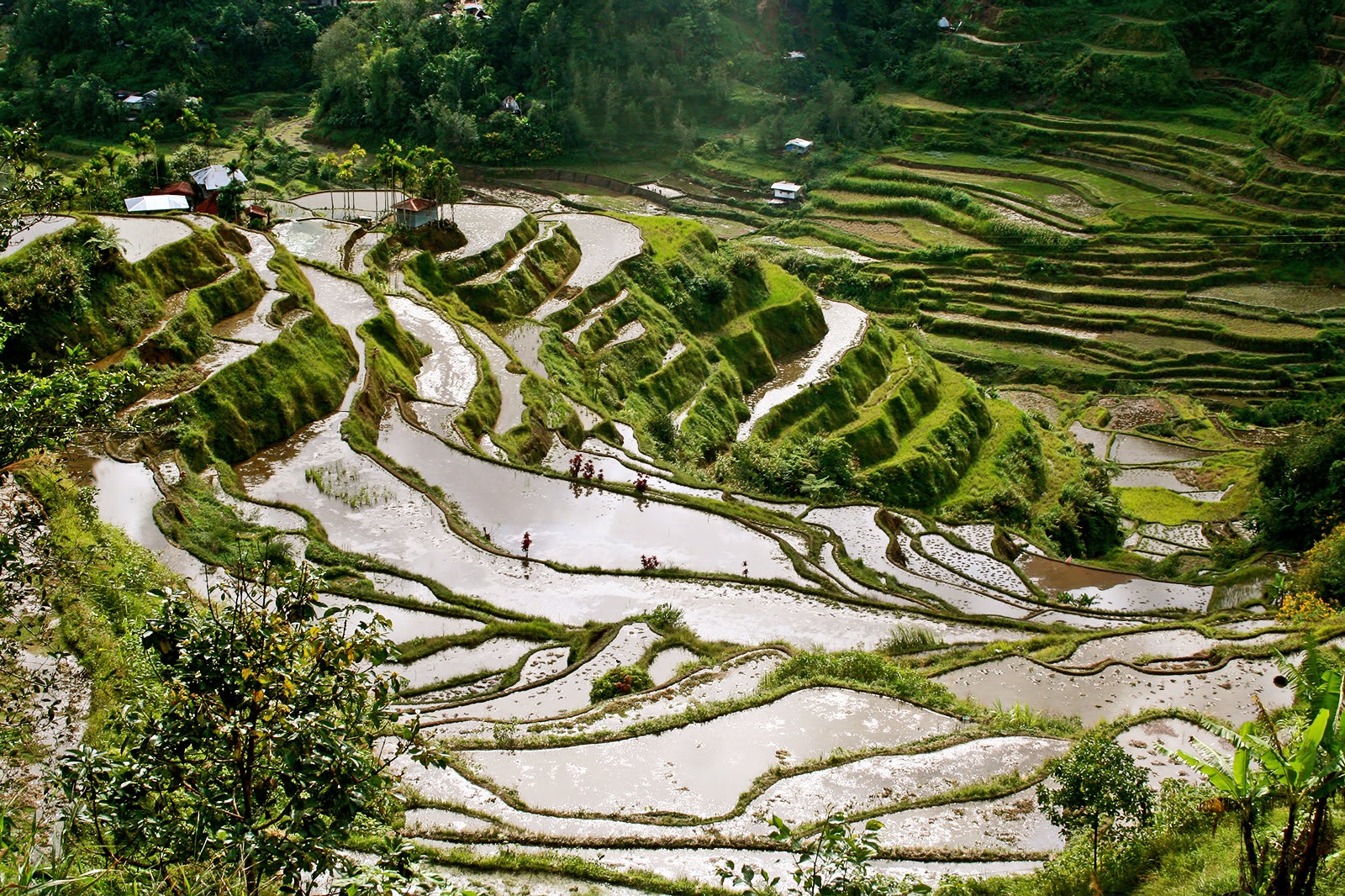 banaue ifugao tourist spot