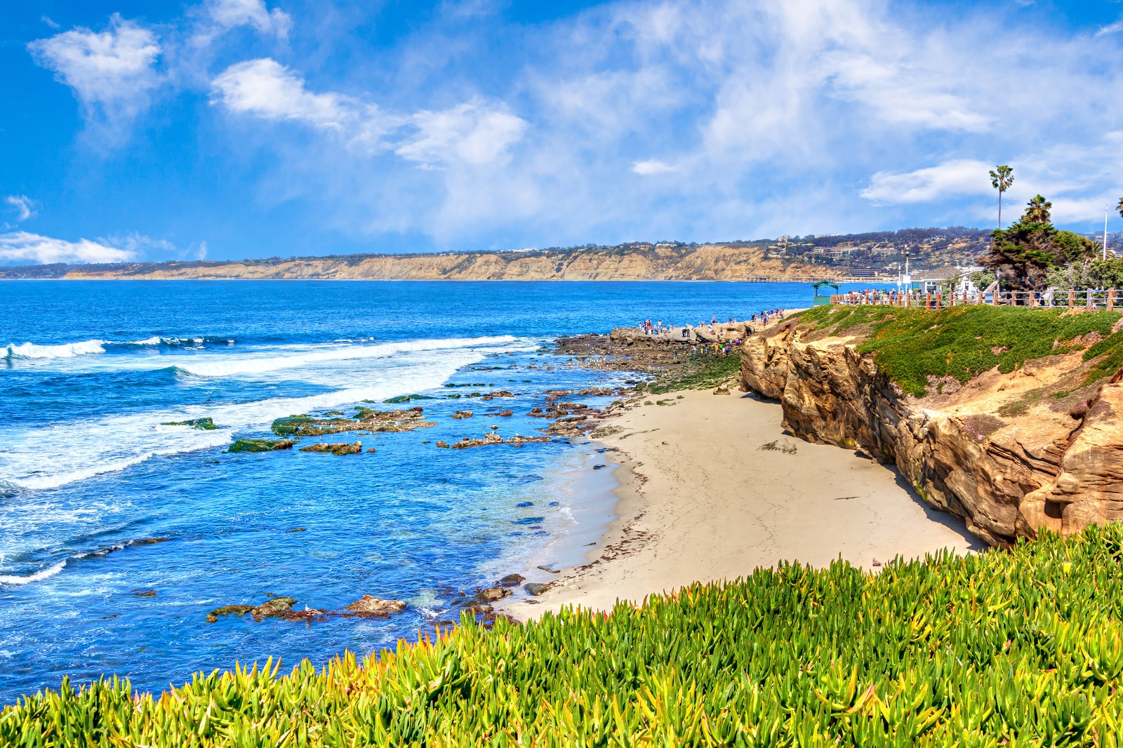 San+Diego%27s+La+Jolla+Cove+Celebrates+100th+Anniversary+with+Underwater+Cleanup