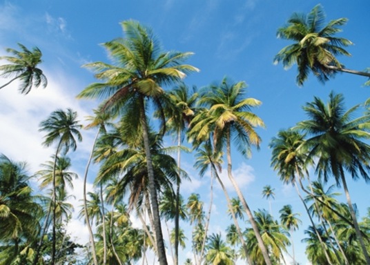 Port-of-Spain, Trinidad and Tobago
