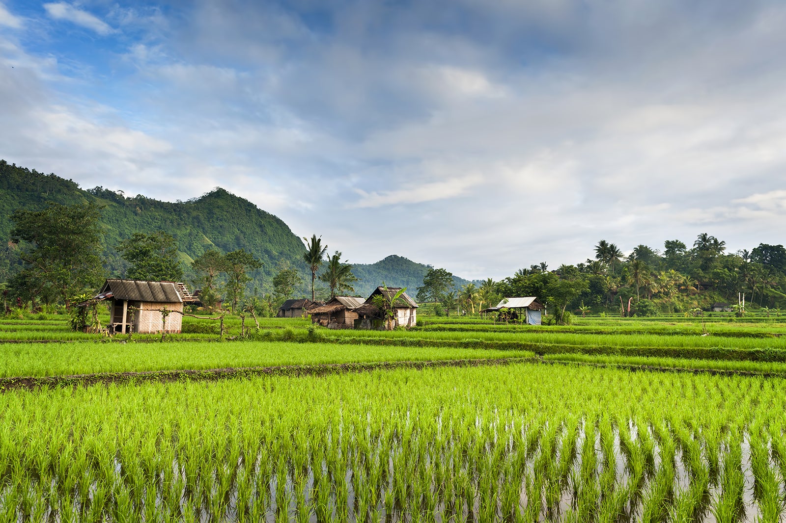 Sidemen Village in Bali - Rice Field Landscapes and Traditional Farming ...