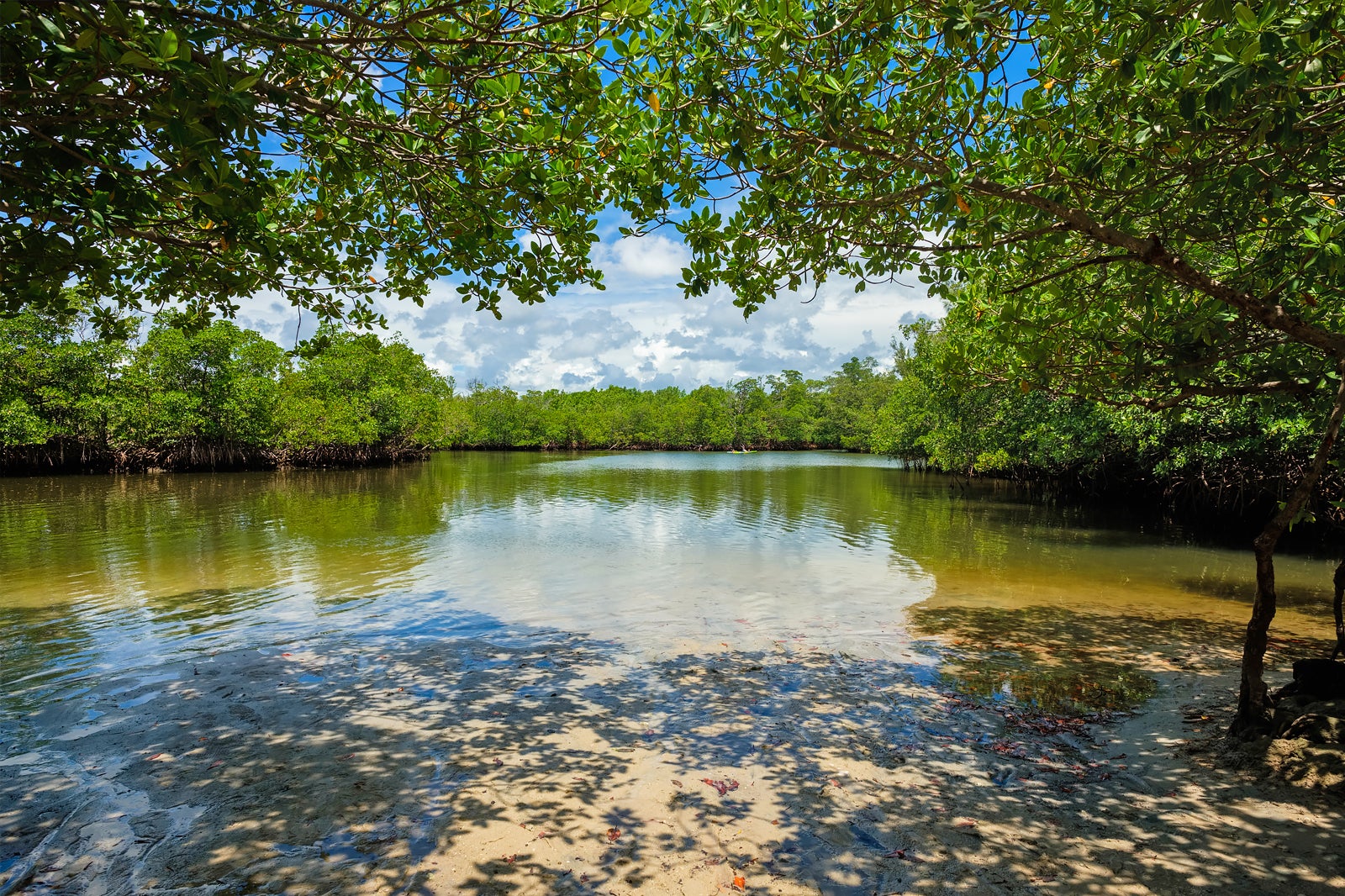 Oleta River State Park