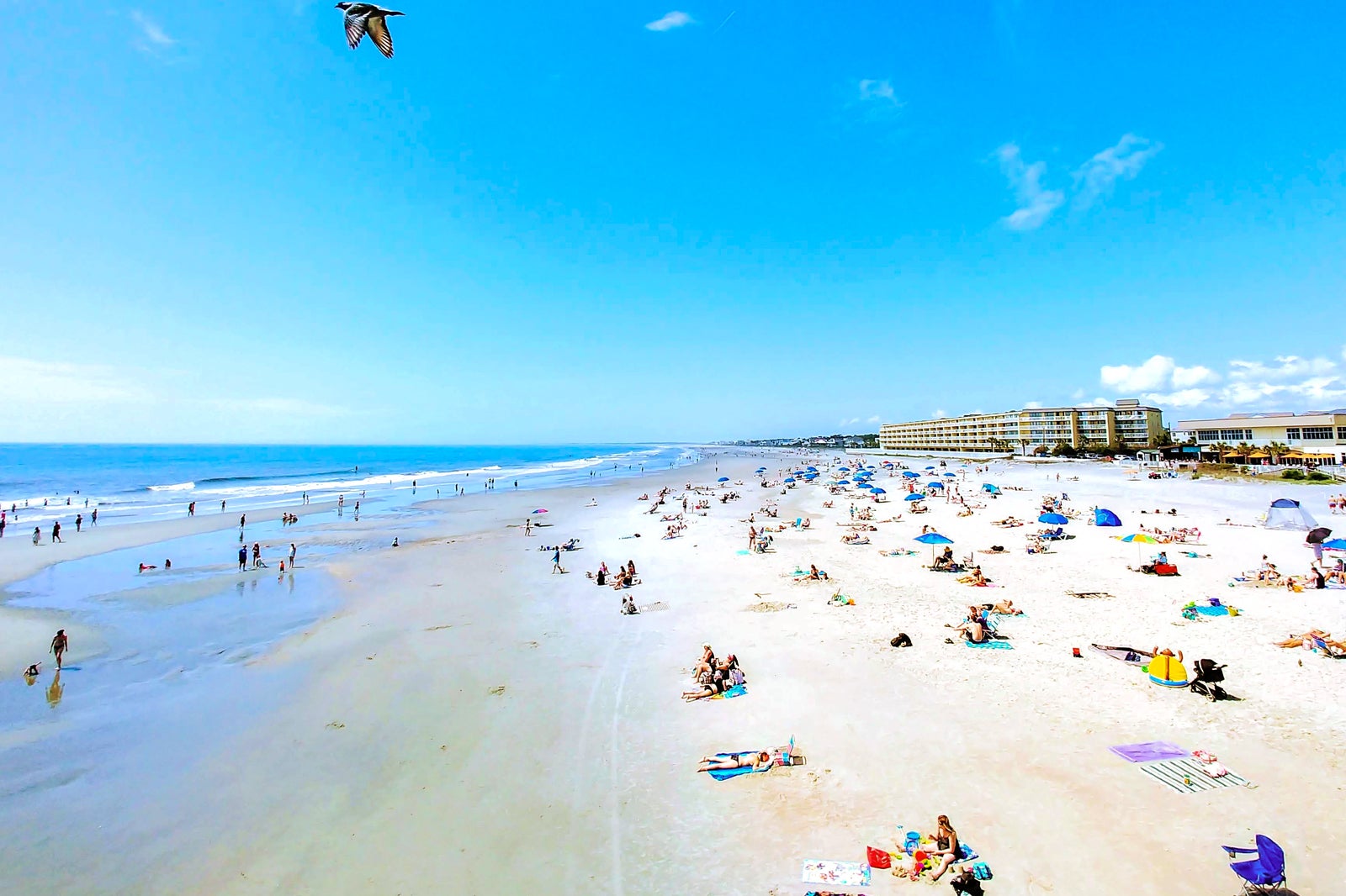 10 Best Beaches In Charleston What Is The Most Popular Beach In 