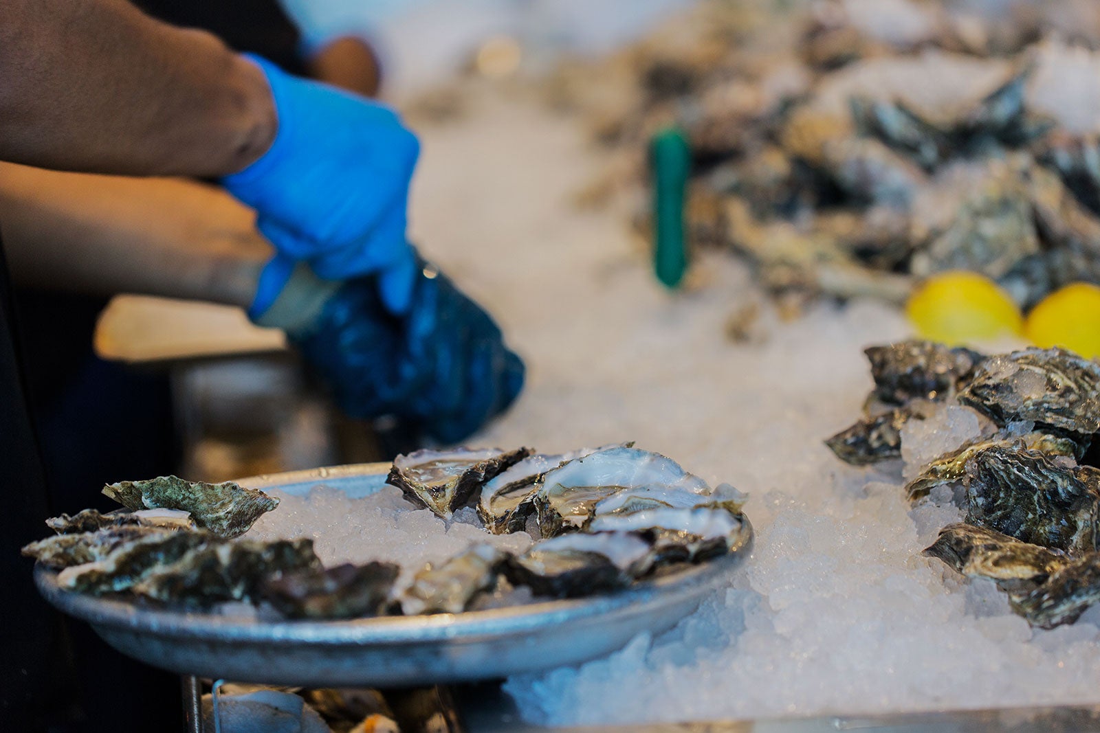 10 Great Restaurants in Cape Canaveral Where to Eat in Cape Canaveral