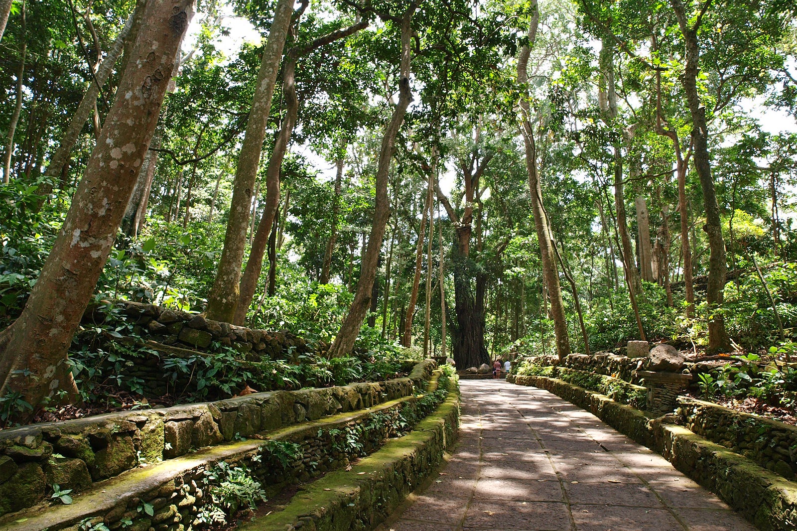 Monkey Forest Ubud