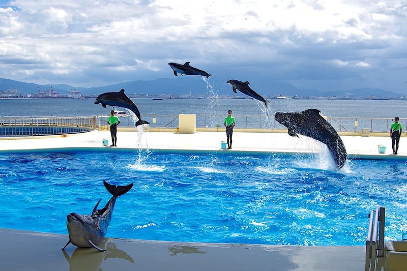 カップルにおすすめの福岡デートスポット トップ 10 カップルで楽しめる福岡の魅力溢れる観光スポットガイド Go Guides カップルにおすすめの福岡デートスポット トップ 10 カップルで楽しめる福岡の魅力溢れる観光スポットガイド Go Guides