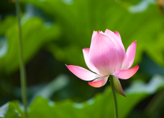 Hangzhou, Chine