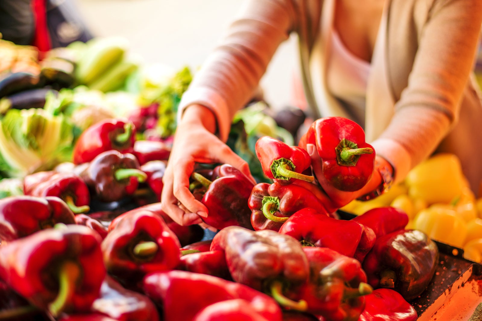 10 Best Markets in Cape Cod Where to Go Shopping like a Local in Cape