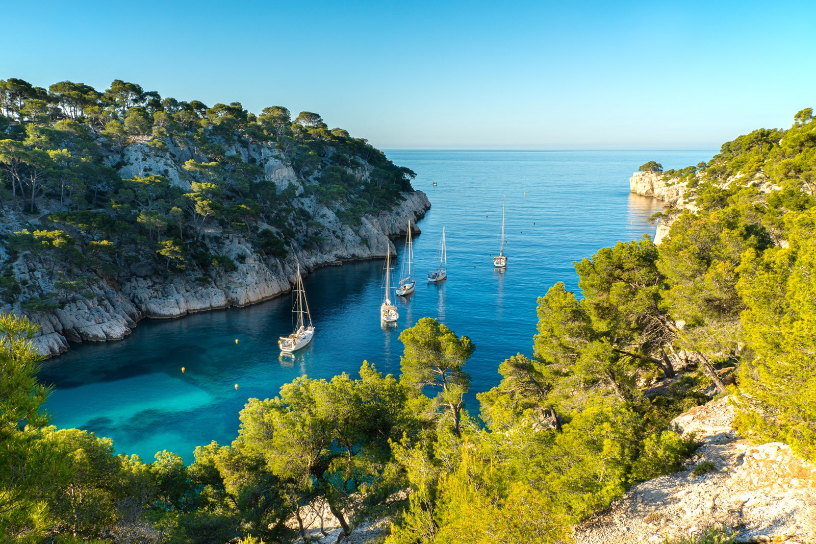 Water column - Pelagic zone  Parc national des calanques