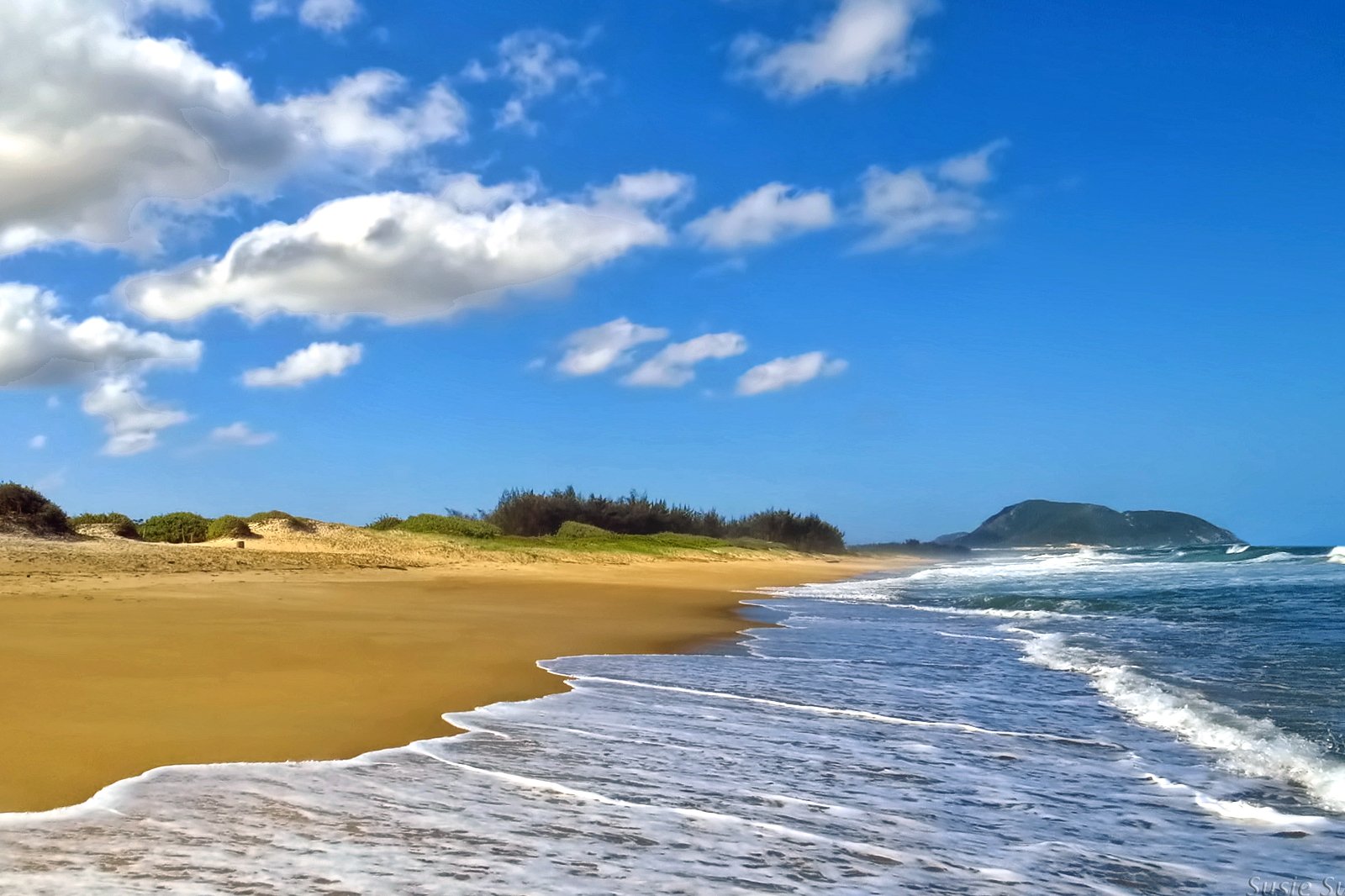 Nice weather, a quiet beach and exciting chess battles in Brazil