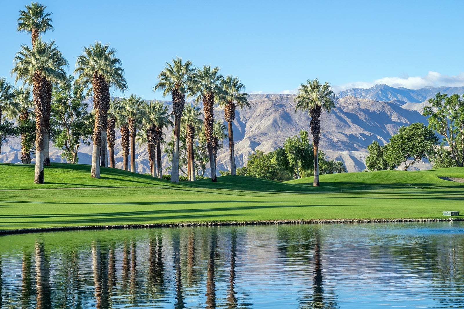 Palm Springs Travel Essentials Useful Information to Help You Start