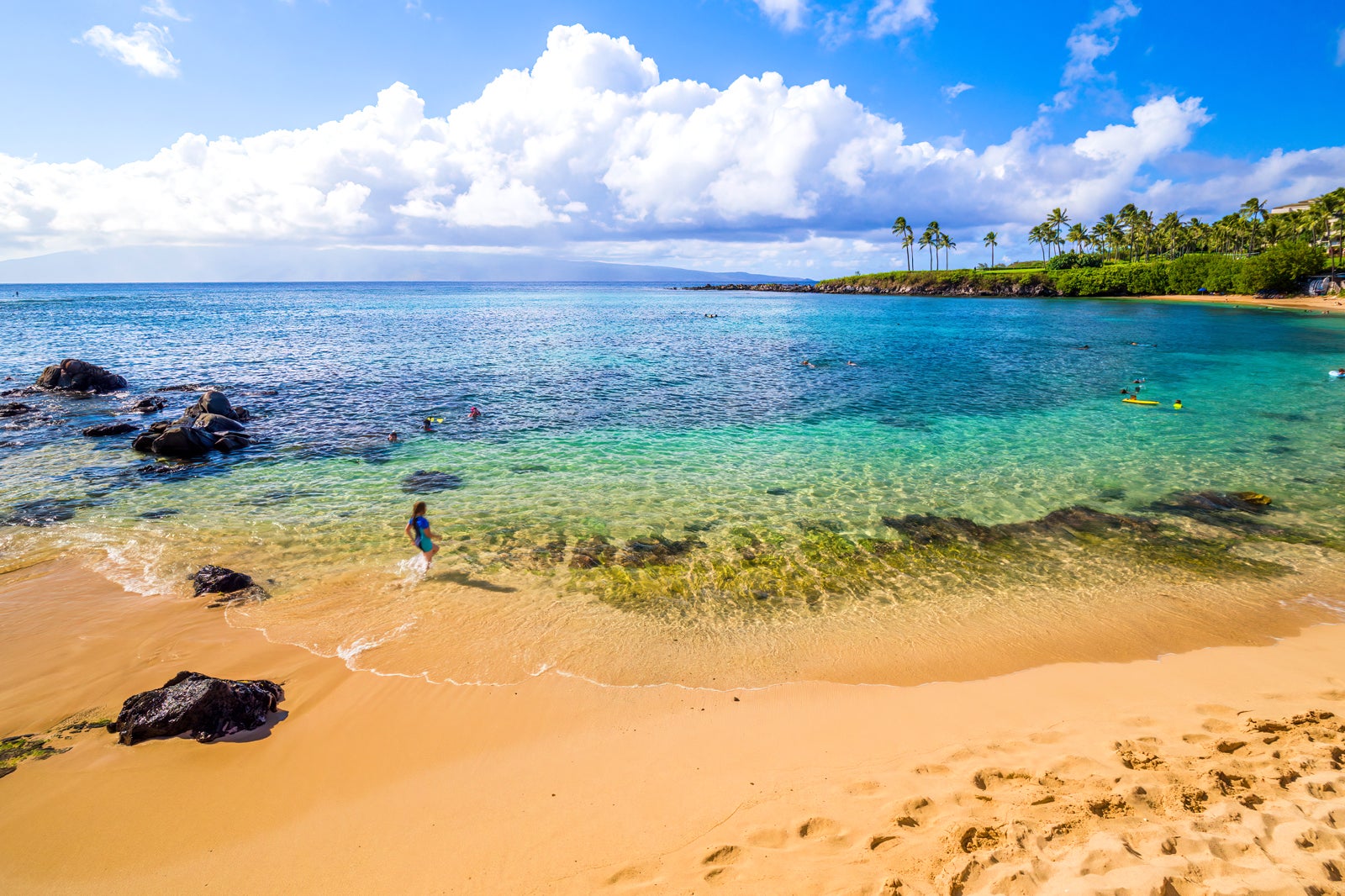 can tourists travel to maui