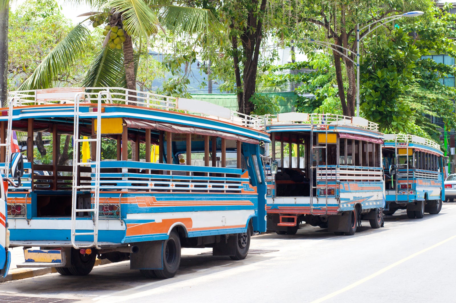 local bus connection trip