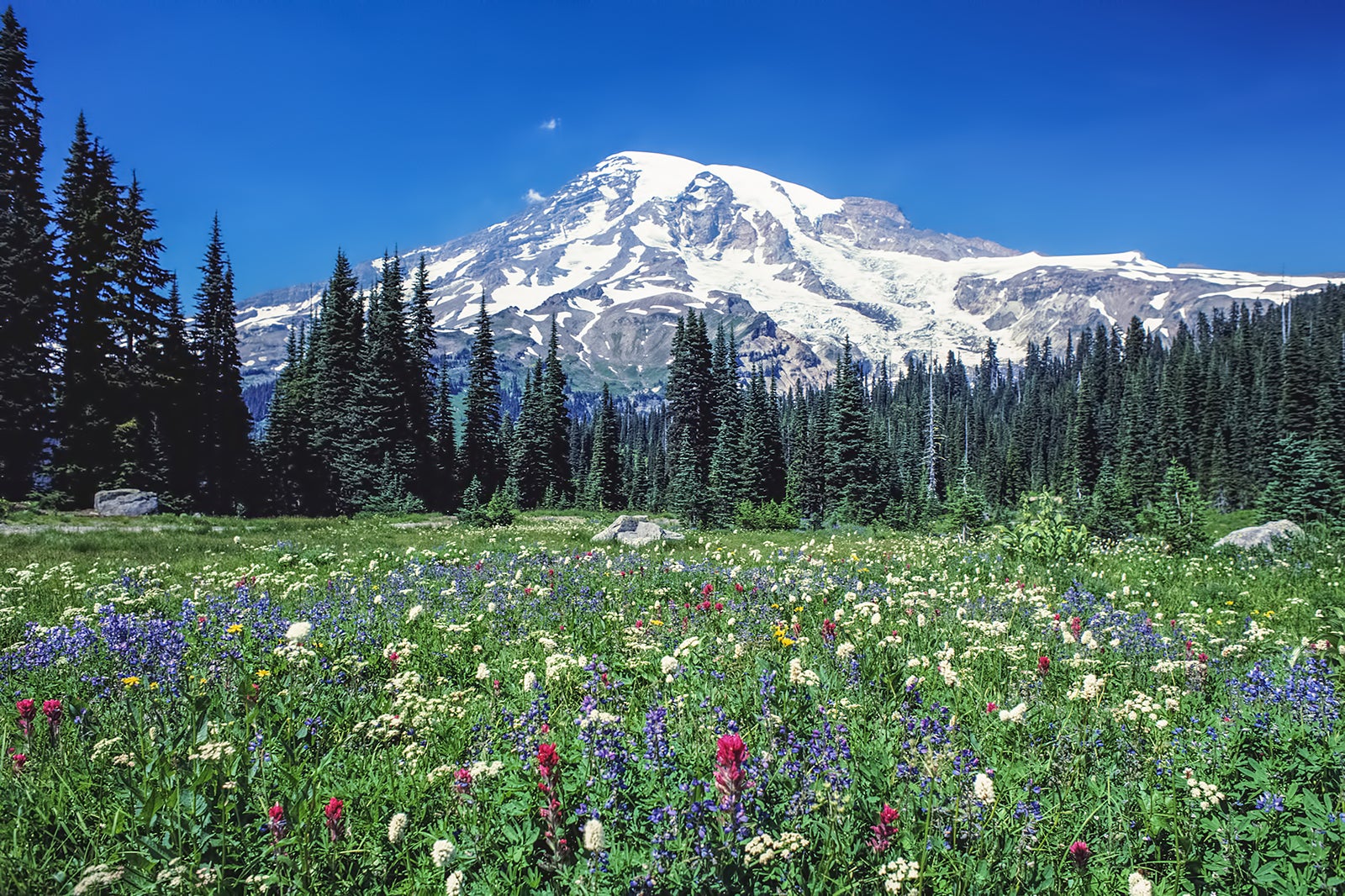 10 Best Road Trips near Seattle Escape to Washington This Weekend