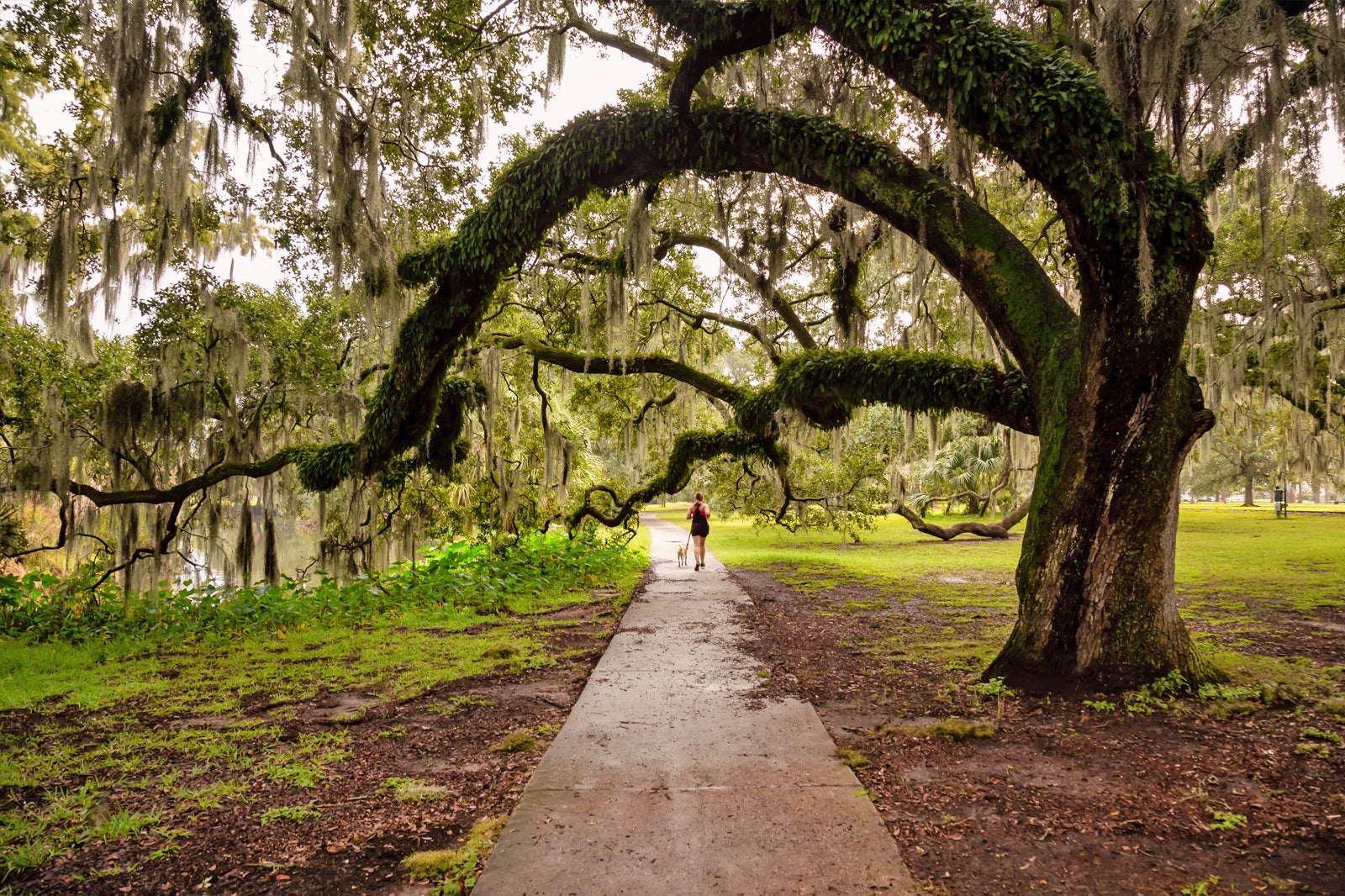 City Park New Orleans