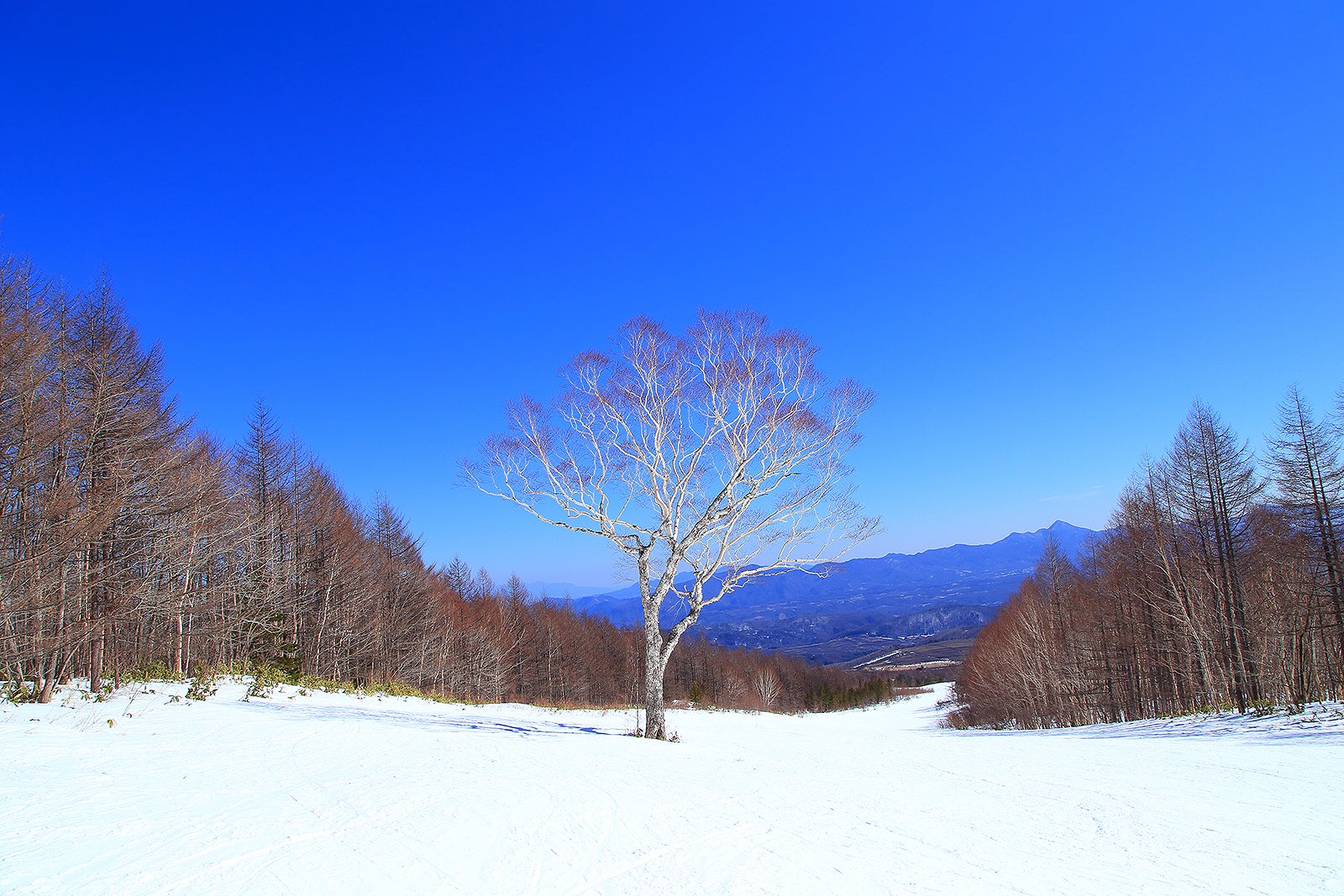 Karuizawa Travel Guide Karuizawa Ski Resort Holiday Essentials Go