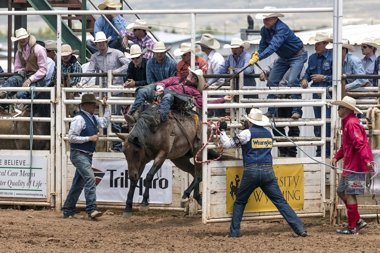 Suhls Rodeo - Genuine Rodeo Near Orlando - Go Guides