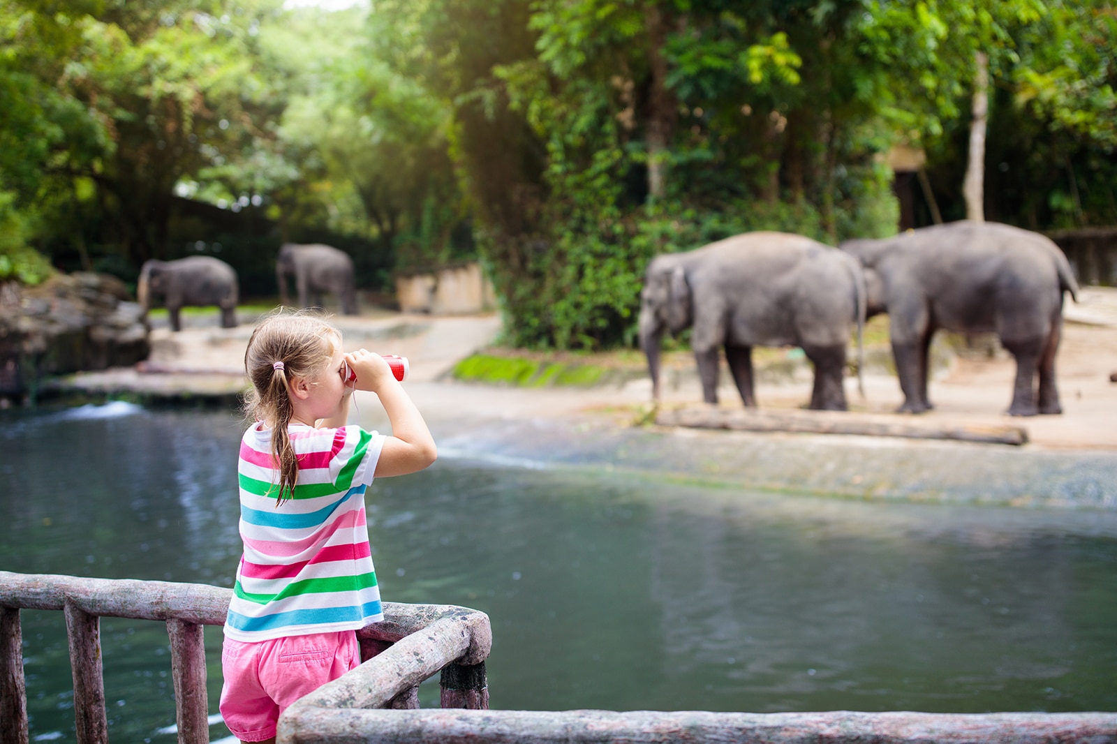 Singapore Zoo - Singapore Attractions - Go Guides