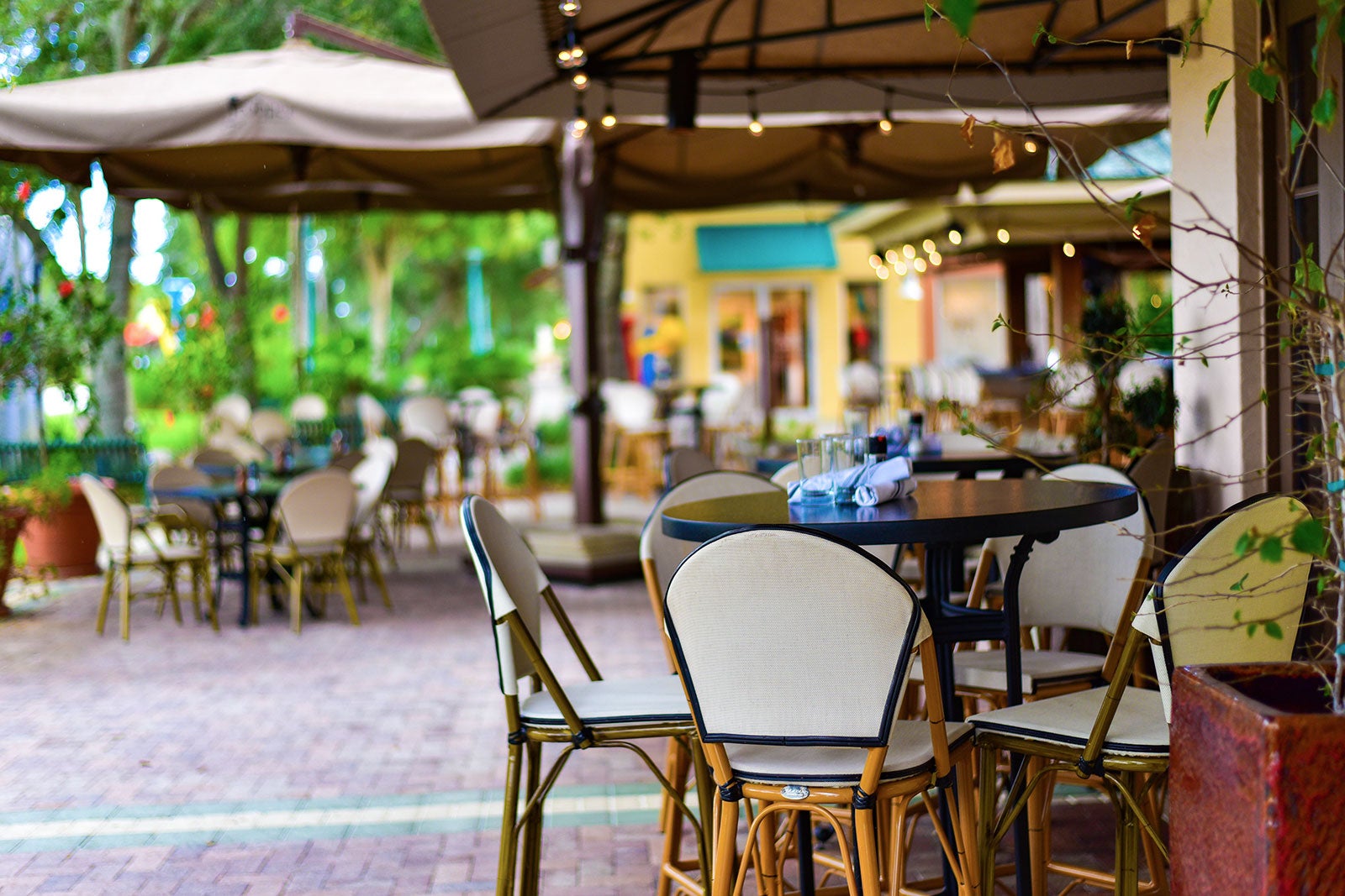 10 Great Restaurants in Jersey Shore Where to Eat in Jersey Shore and