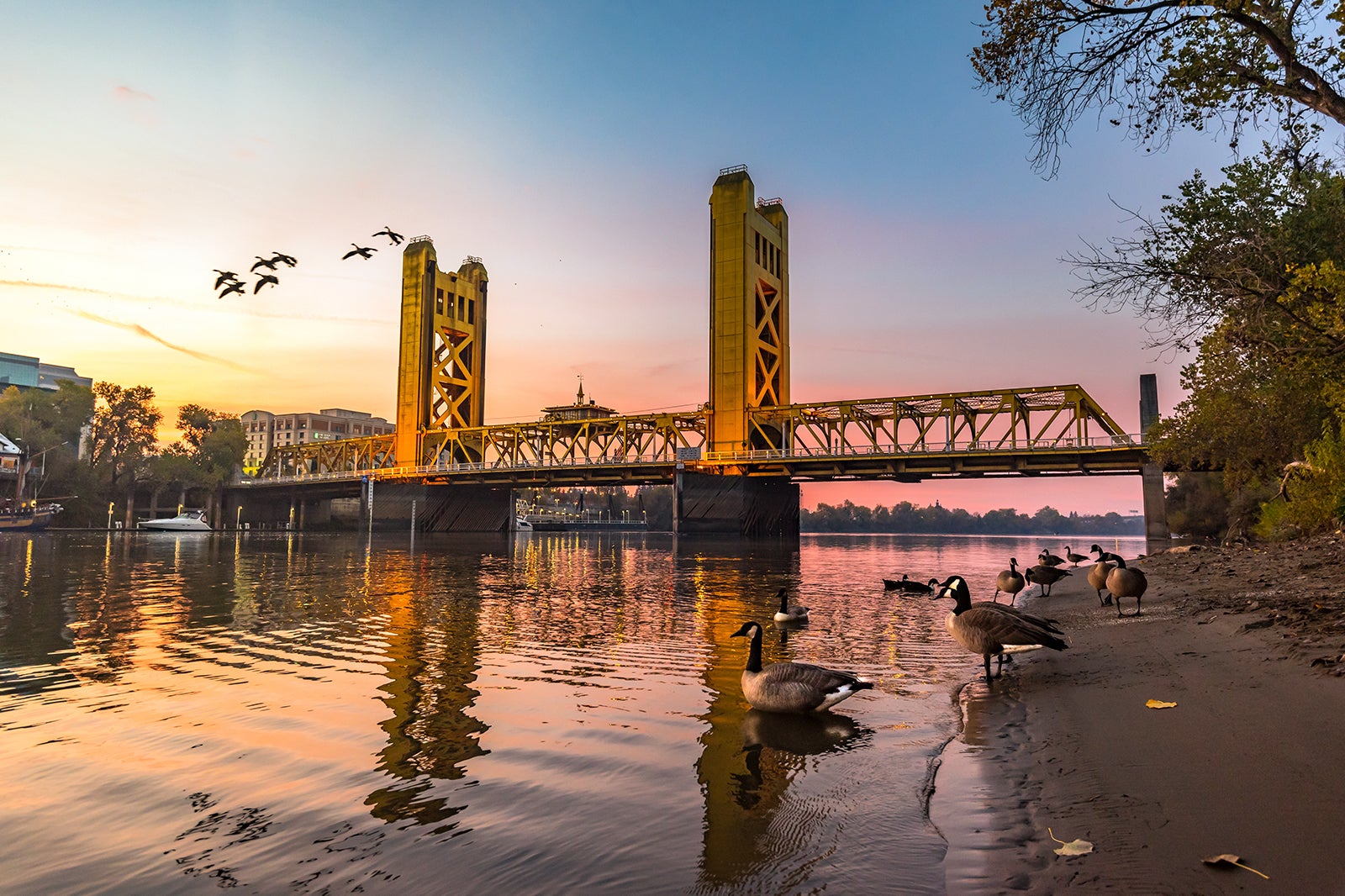 Sacramento Travel Essentials - Useful Information to Help You Start Your  Trip to Sacramento – Go Guides