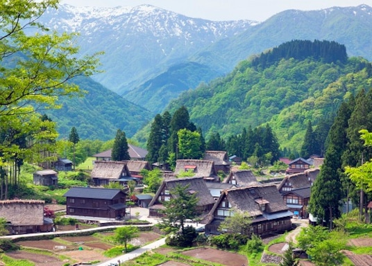 坂井, 日本