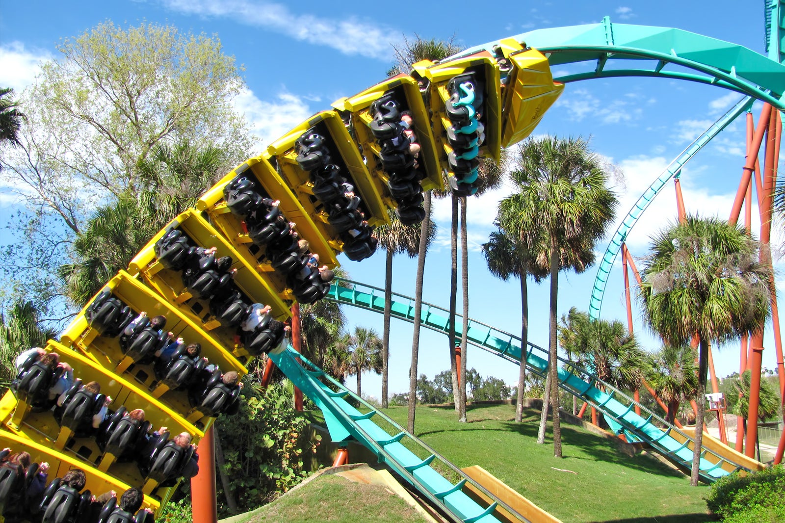 The Scorpion Rollercoaster at Busch Gardens Tampa Florida USA with