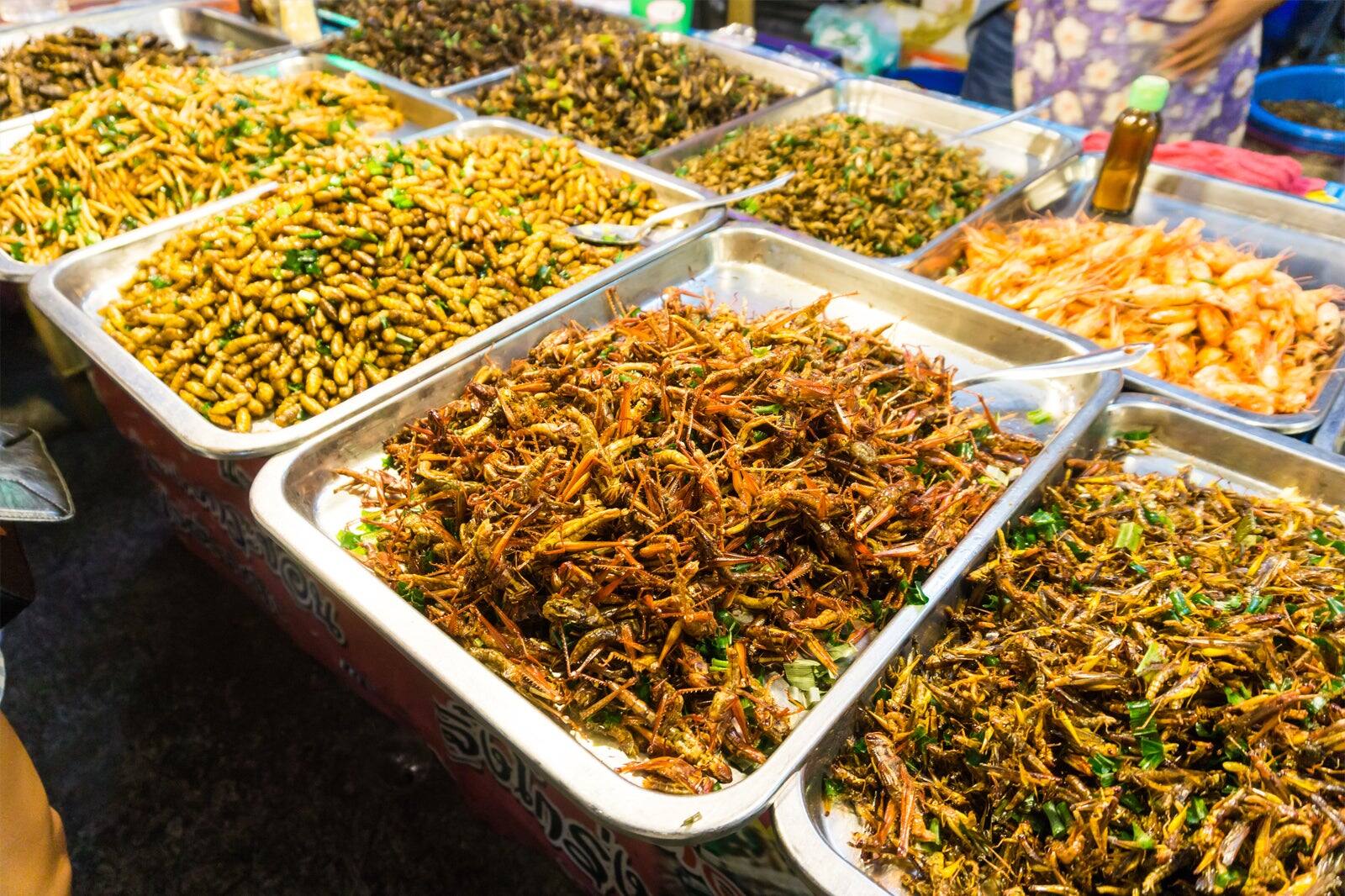 A Guide to Eating Insects in Phuket - Phuket's Edible Bugs - Go Guides