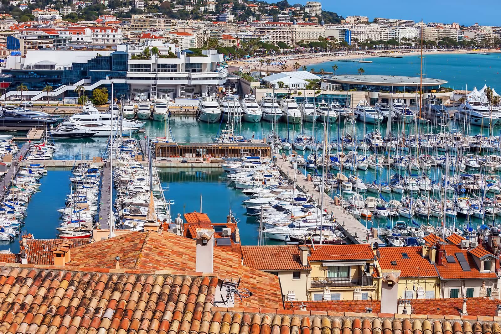 Le Vieux Port In Cannes Visit The Entry Point Of Le Suquet Go Guides le-vieux-port-in-cannes-visit-the-entry-point-of-le-suquet-go-guides