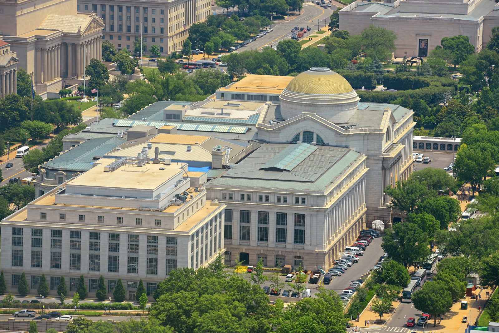 National Museum Of Natural History In Washington DC Discover The 