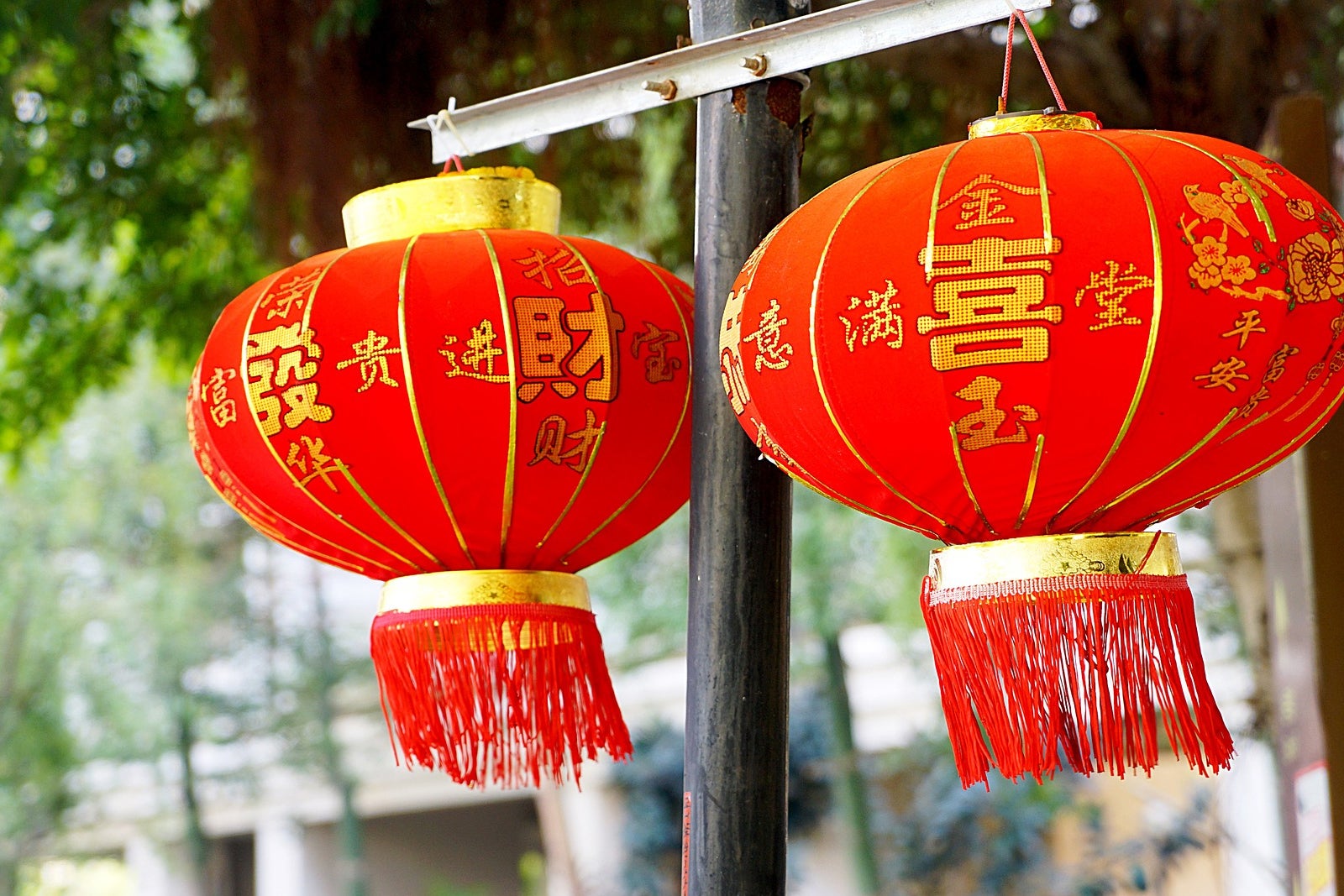 What is the Chinese New Year, Cultural Festivals