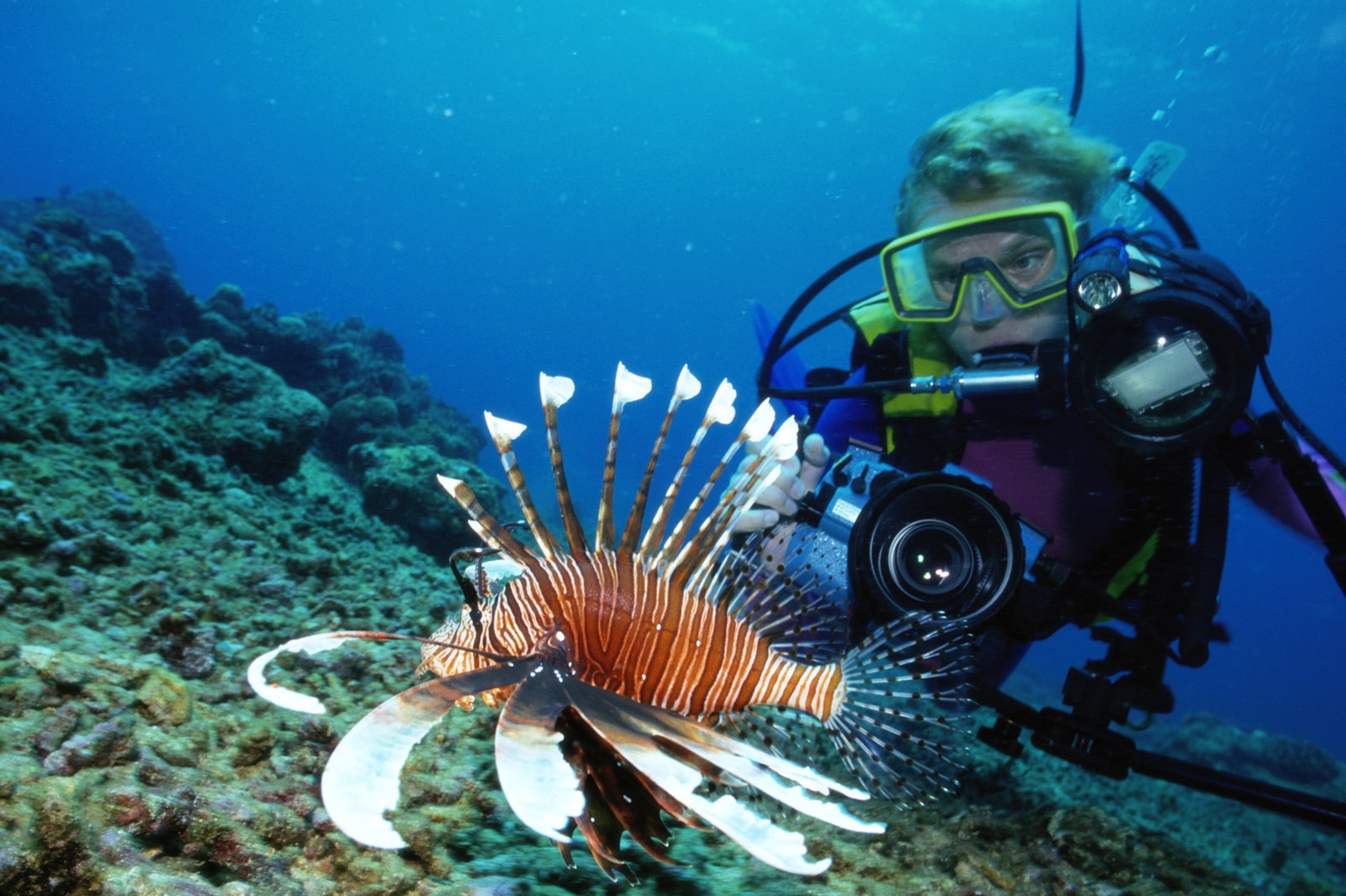 8 Best Dive Centers in Bali - Where to Learn Scuba Diving in Bali - Go ...