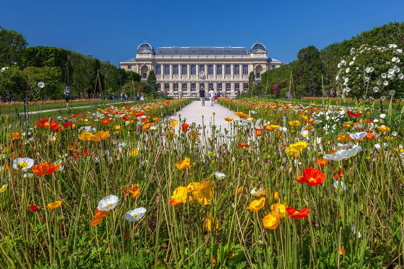 Jardin Des Plantes In Paris Paris Oldest Botanical Garden Go Guides jardin-des-plantes-in-paris-paris-oldest-botanical-garden-go-guides