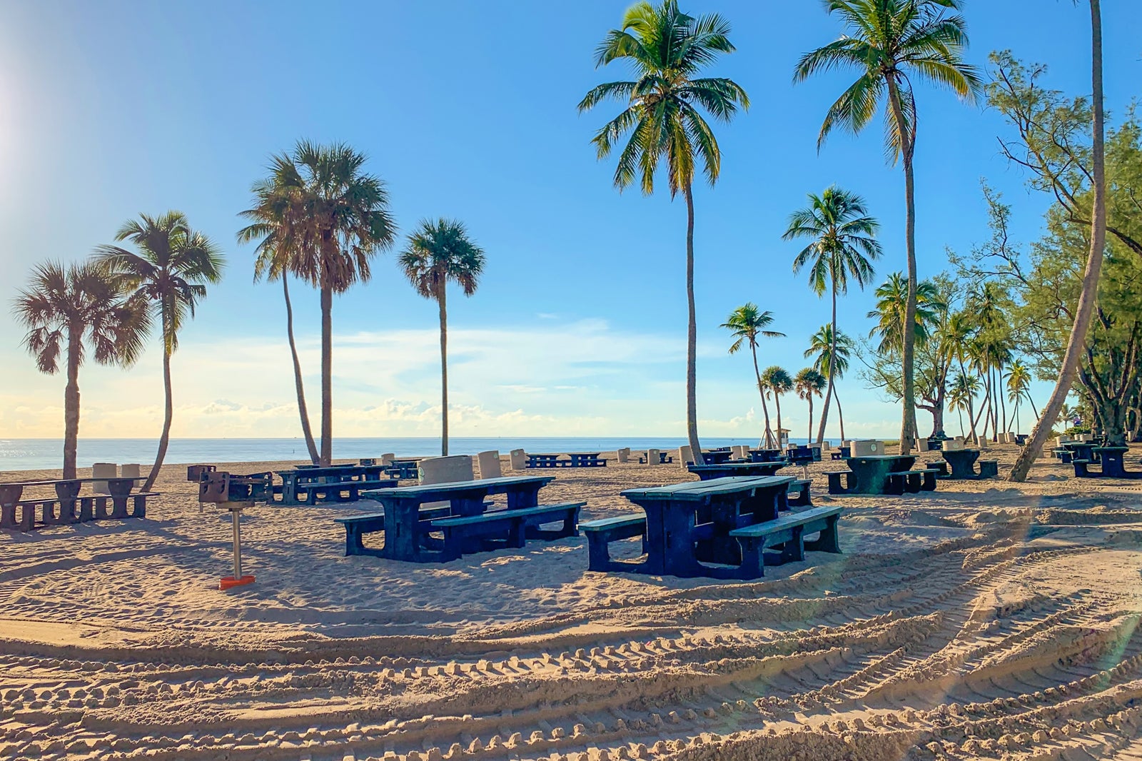 are dogs allowed at fort lauderdale beach