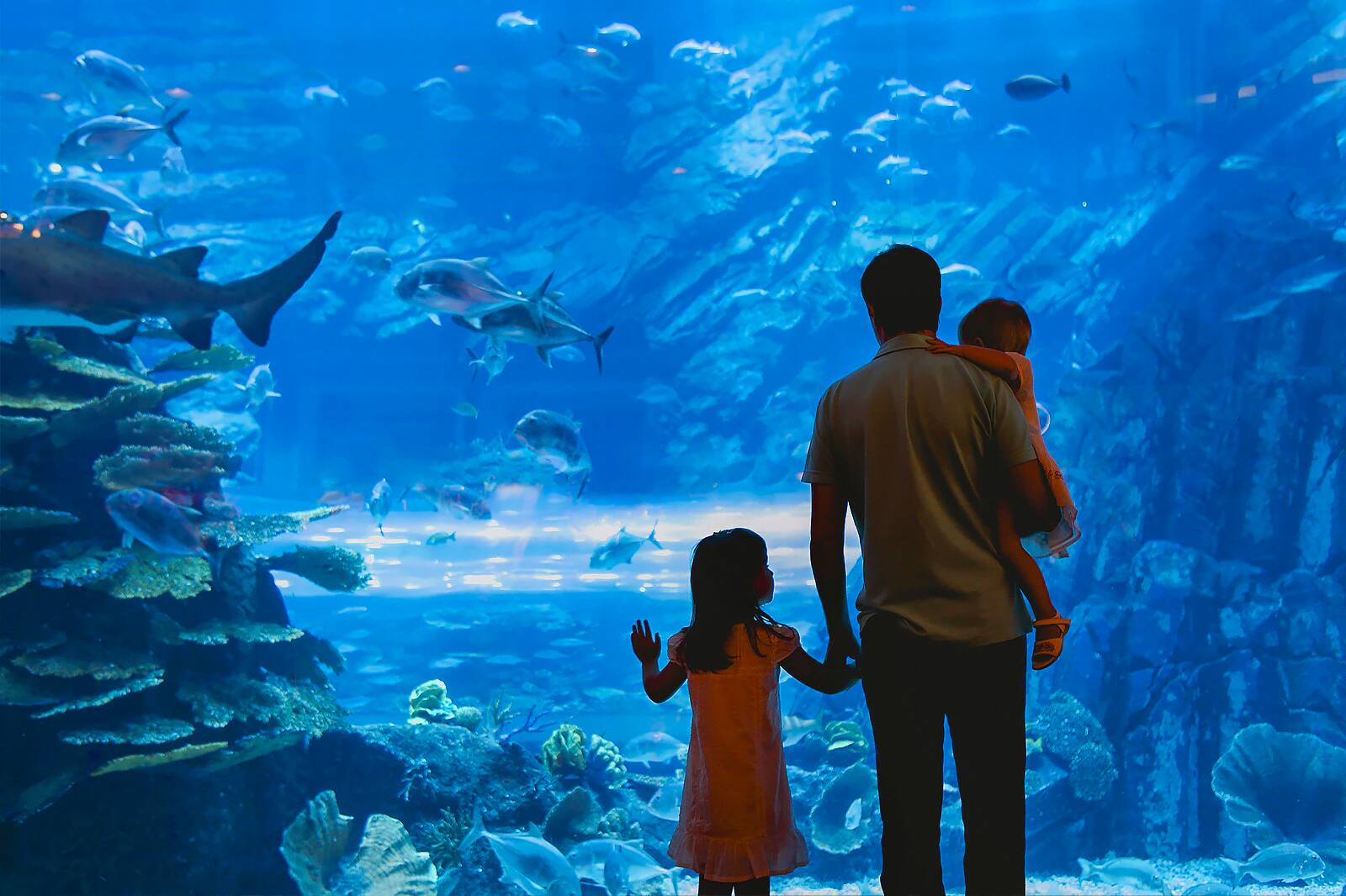 10 Best Family Things To Do In Tokyo Fun Places In Tokyo To Take Your 10-best-family-things-to-do-in-tokyo-fun-places-in-tokyo-to-take-your