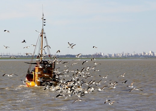 Bahia Blanca, Argentina