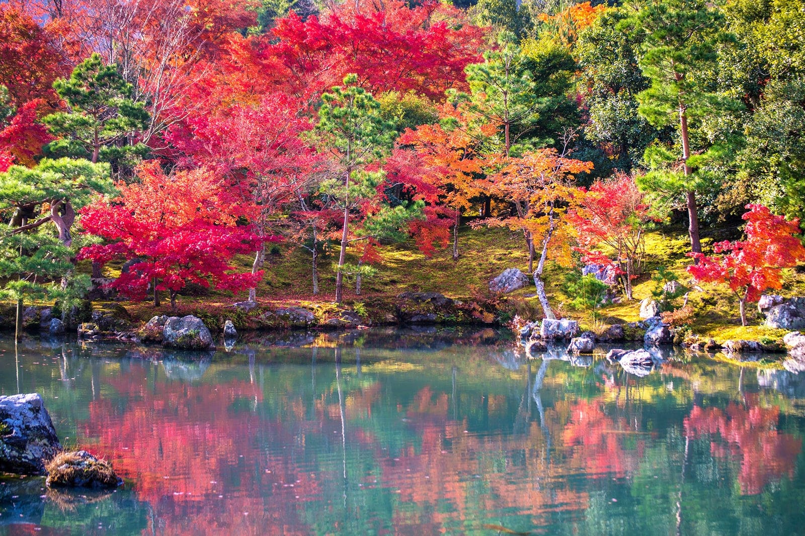 10 Best Places To See Changing Autumn Leaves In Tokyo Fall Foliage 10-best-places-to-see-changing-autumn-leaves-in-tokyo-fall-foliage