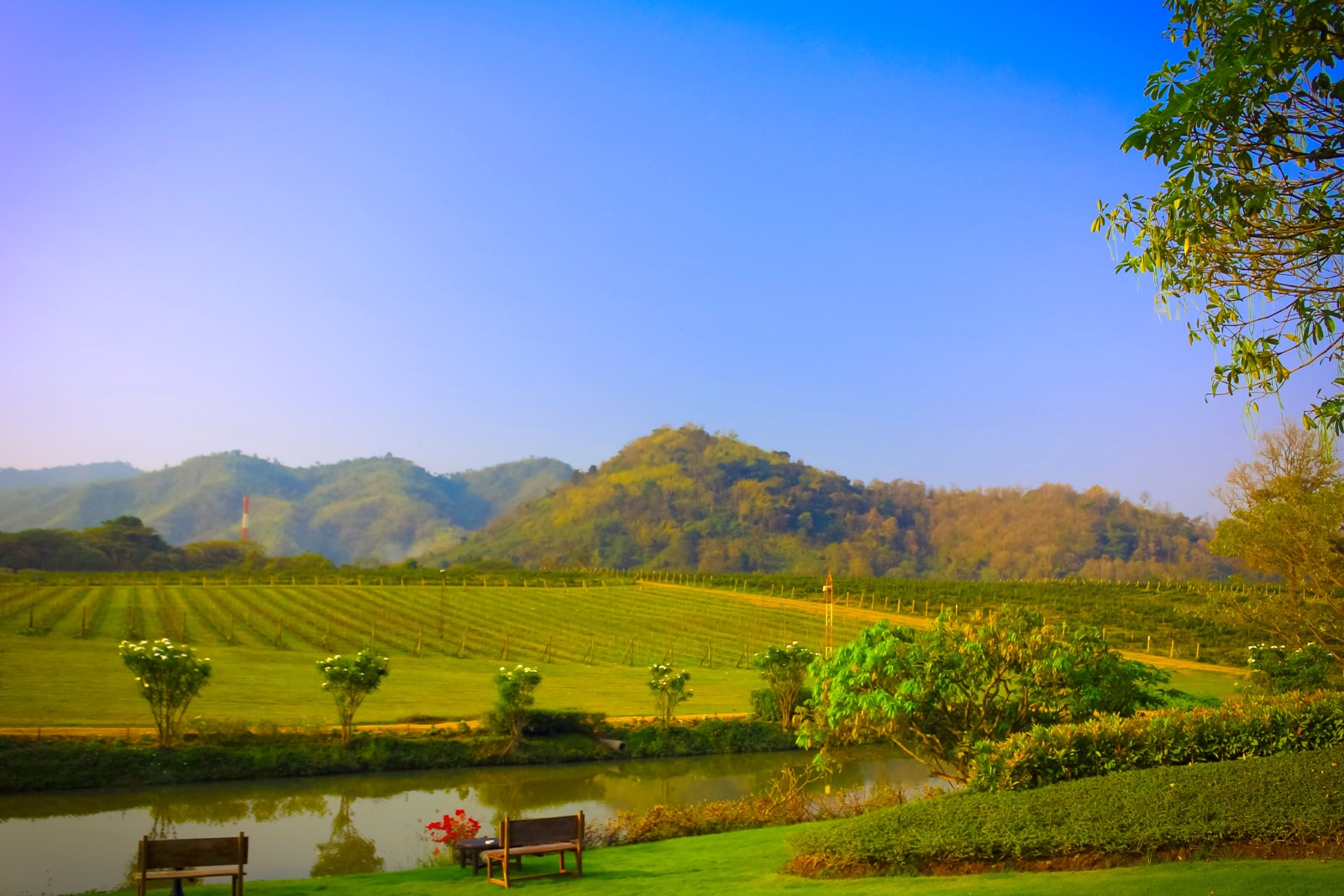 Khao 2024 yai winery