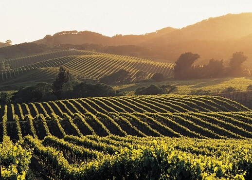 Hemet, California, United States of America