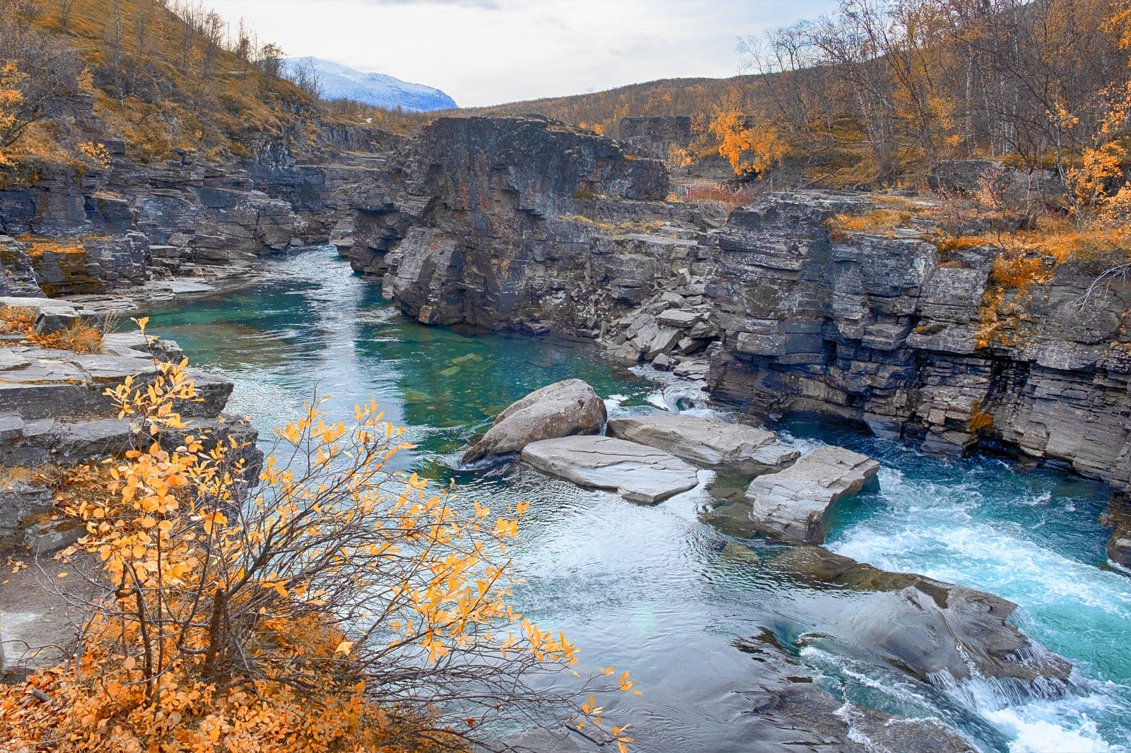 Top 10 Nature And Wildlife Areas In Sweden Escape To Sweden s Most top-10-nature-and-wildlife-areas-in-sweden-escape-to-sweden-s-most