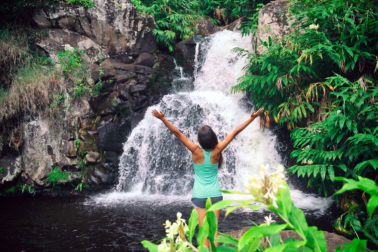 Waimea Waterfall - Hike to a Pristine Waterfall - Go Guides