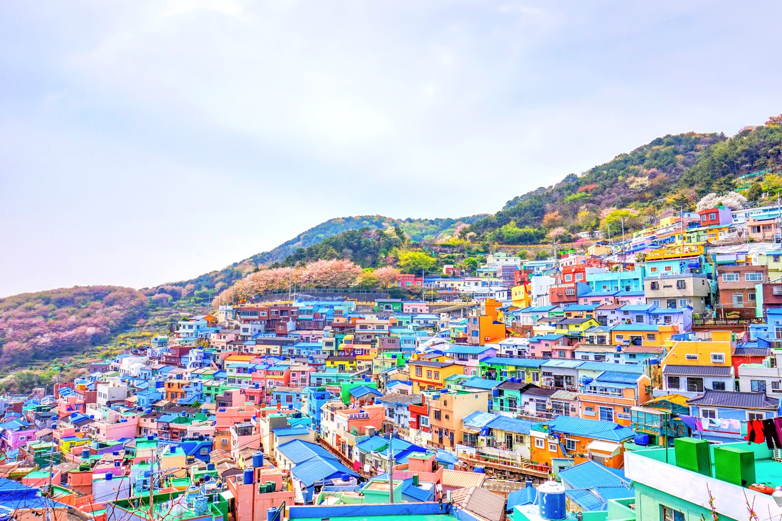 10 Most Instagrammable Places In Busan - Where To Take Stunning Photos ...