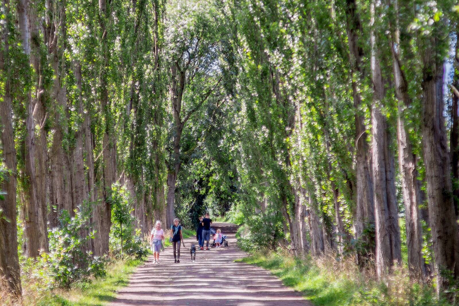 10 Things To Do In Manchester On A Small Budget What Are The Cheap 10-things-to-do-in-manchester-on-a-small-budget-what-are-the-cheap
