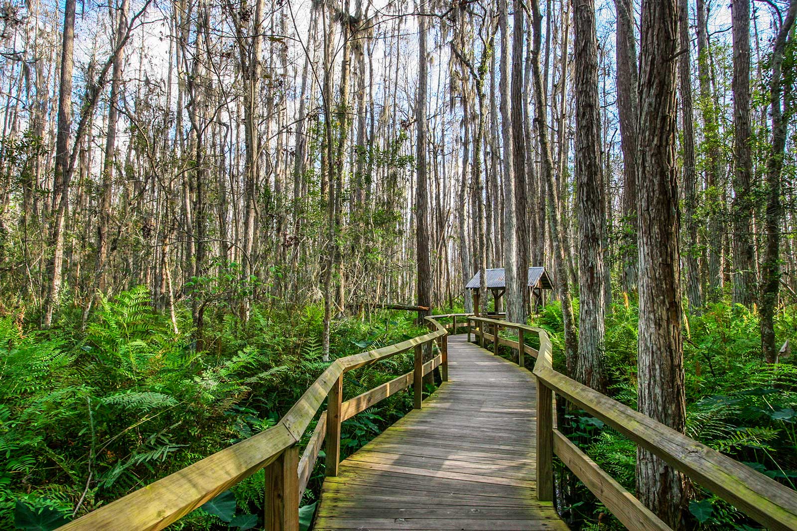 10 Best Gardens and Parks in Jacksonville Explore Jacksonville’s Most